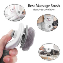 Load image into Gallery viewer, Cat Windmill Tumbler Teaser Toy &amp; Pet Slicker Self-Clean Grooming Brush Set
