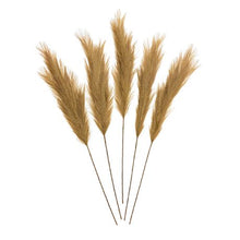 Load image into Gallery viewer, Faux Pampas Grass (Toffee)
