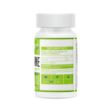 Load image into Gallery viewer, NeuroActive - L-Carnosine - 60&#39;s - Natural Energy Supplement
