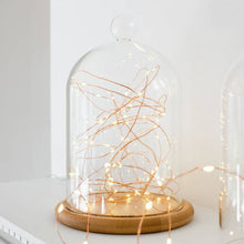 Load image into Gallery viewer, Copper Wire Fairy Lights Warm White - Battery Operated -10m
