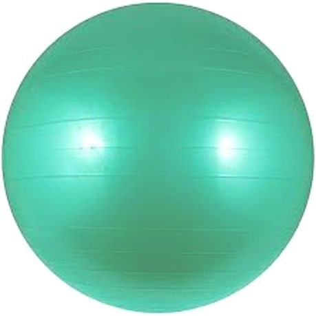 Disa Sports - Anti-burst Gym Balls 55cm