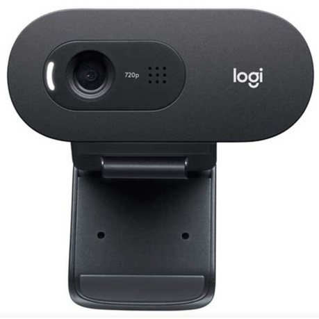 Logitech C505e Webcam