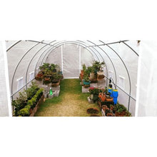 Load image into Gallery viewer, Greenhouse Tunnel - 6m x 3m x 2.5m
