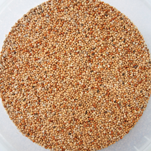 Load image into Gallery viewer, Grovida Garden Wild Bird Seed (10kgs)
