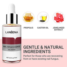 Load image into Gallery viewer, Lanbena Nail Essence Repair – 15ml
