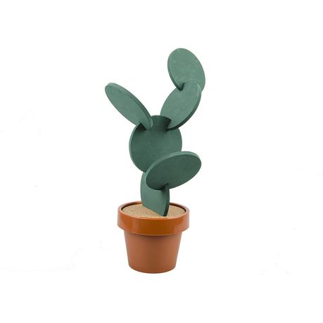 Cactus Coaster Set of 6 Pieces with Flowerpot Buy Online in Zimbabwe thedailysale.shop