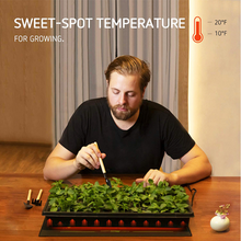 Load image into Gallery viewer, Seedling Heat Mat 25x50cm Propagation/Germination Heating Mat
