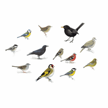 Load image into Gallery viewer, Grovida Garden Wild Bird Seed (5kgs)
