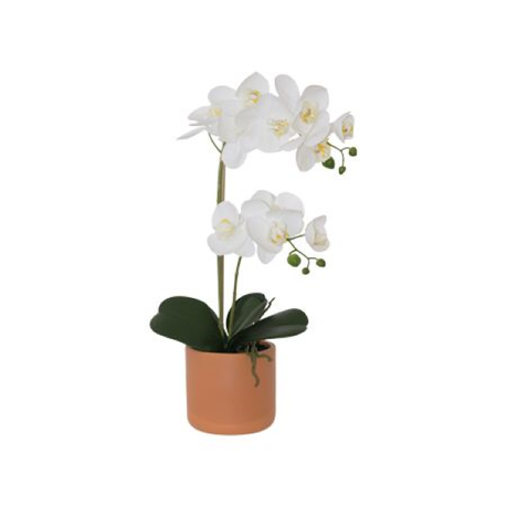 Artificial White Orchid Plant With Terracotta Vase 2 Stem Buy Online in Zimbabwe thedailysale.shop