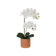 Load image into Gallery viewer, Artificial White Orchid Plant With Terracotta Vase 2 Stem
