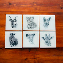 Load image into Gallery viewer, Ithambo Wildlife Cheetah Lion Kudu Giraffe Zebra Bat Fox 6pc Glass Coasters
