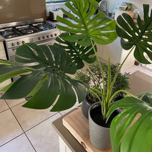 Load image into Gallery viewer, HouzeComfort Artificial Monstera Pot Plant Indoor and Outdoor
