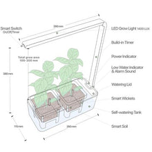 Load image into Gallery viewer, Hydroponic Smart Garden
