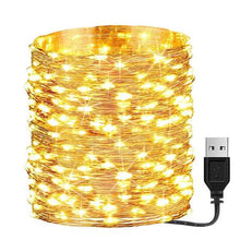 Load image into Gallery viewer, USB Powered LED Copper Wire Fairy Lights Warm White - 10m
