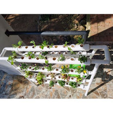 Load image into Gallery viewer, Hydroponic Step-Down Tiered Growing System 72 Holes
