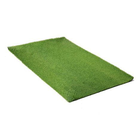 Mrs Pooch Puppy Training Grass 100cm x 200 Buy Online in Zimbabwe thedailysale.shop