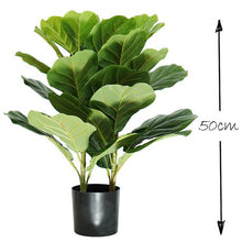 Load image into Gallery viewer, HouzeComfort Artificial Ficus Iyrata Indoor and Outdoor Pot Plant
