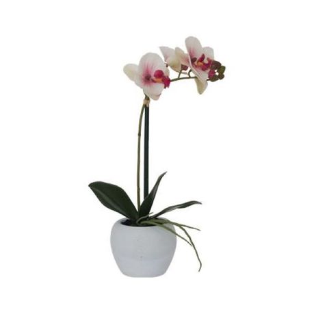 Artificial Orchid Plant With White Vase 1 Stem - White/Pink Buy Online in Zimbabwe thedailysale.shop