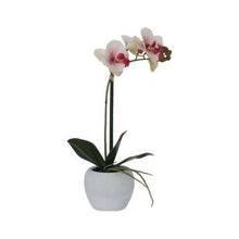 Load image into Gallery viewer, Artificial Orchid Plant With White Vase 1 Stem - White/Pink
