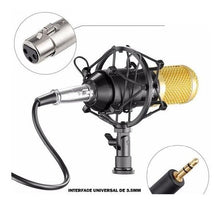 Load image into Gallery viewer, Professional Condenser Studio Microphone ST-225
