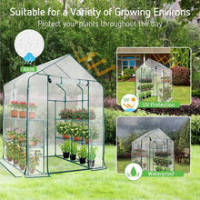 Load image into Gallery viewer, Walk-in Greenhouse - Transparent
