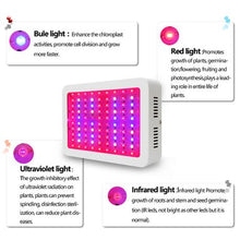 Load image into Gallery viewer, Best LED Grow Light 1000W Full Spectrum for Indoor Hydroponic Plant
