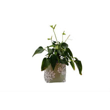 Load image into Gallery viewer, That&#39;s Sooo Pretty Fabric Flower Pot Sage/Grey Floral
