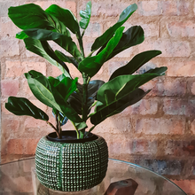 Load image into Gallery viewer, HouzeComfort Artificial Ficus Iyrata Indoor and Outdoor Pot Plant
