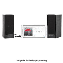 Load image into Gallery viewer, Microlab B56 2.0CH USB PWR Speaker-Black
