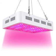 Load image into Gallery viewer, Best LED Grow Light 1000W Full Spectrum for Indoor Hydroponic Plant
