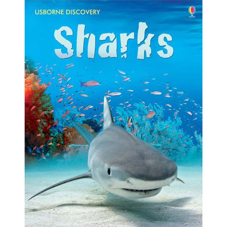 Usborne - Sharks Buy Online in Zimbabwe thedailysale.shop