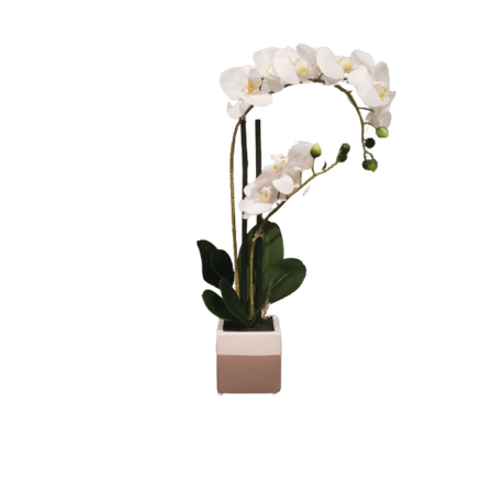 Artificial White Orchid Plant With Grey & White Vase 2 Stem Buy Online in Zimbabwe thedailysale.shop