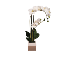 Load image into Gallery viewer, Artificial White Orchid Plant With Grey &amp; White Vase 2 Stem
