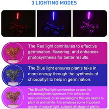 Load image into Gallery viewer, 30W Table top LED Plant Growth Light HT-DTL24W
