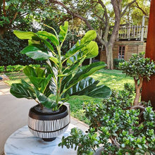 Load image into Gallery viewer, HouzeComfort Artificial Ficus Iyrata Indoor and Outdoor Pot Plant
