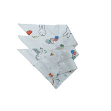 Load image into Gallery viewer, All Heart 3 Pack Roar Dinosaur Bib Clothes
