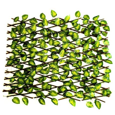 PH Garden - Fold Out Trellis With Artificial Variegated Leaves Buy Online in Zimbabwe thedailysale.shop