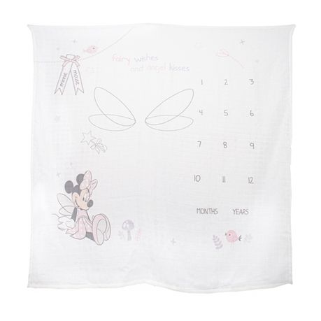 Minnie Mouse Milestone Blanket